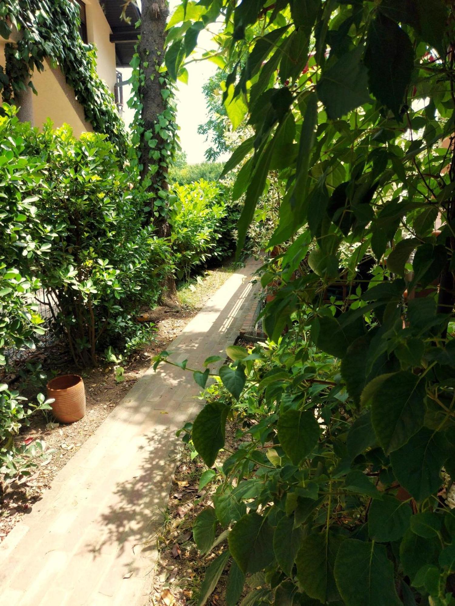 Eden Apartment Sveta Nedjelja  ภายนอก รูปภาพ