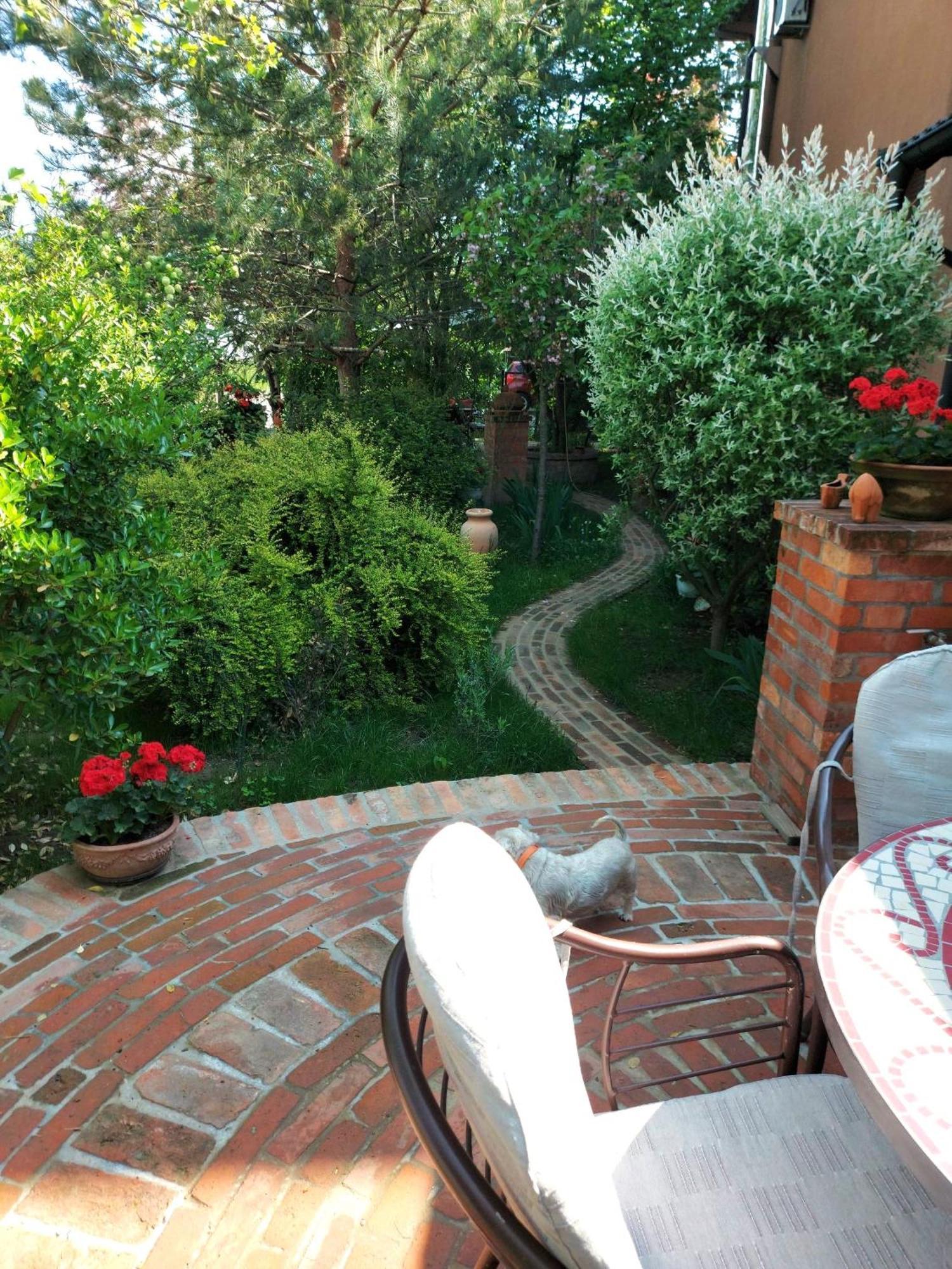 Eden Apartment Sveta Nedjelja  ภายนอก รูปภาพ